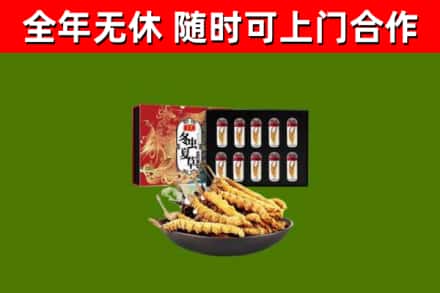 武宁回收冬虫夏草价格